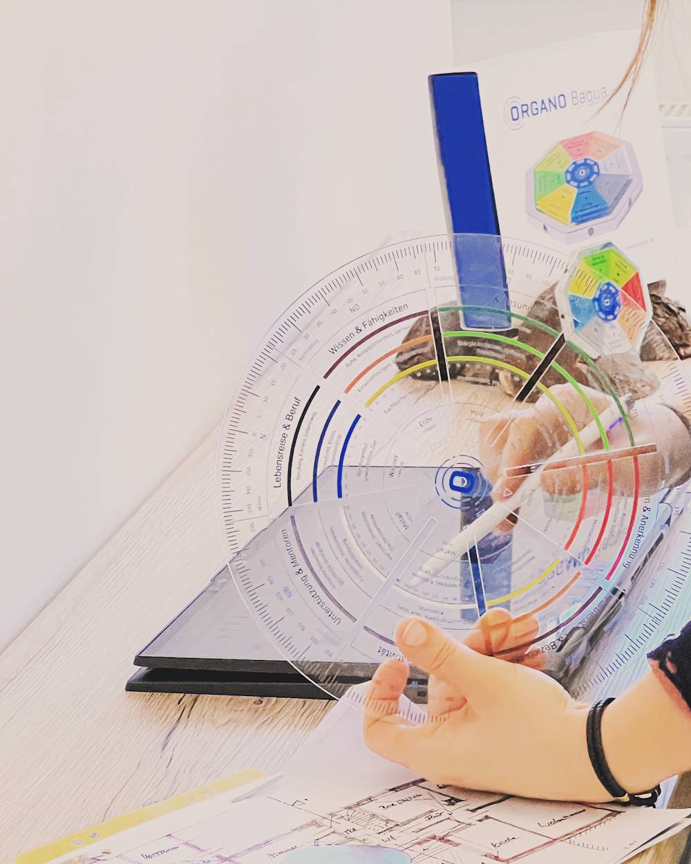 Organo Feng-Shui – Räume, die Energie atmen